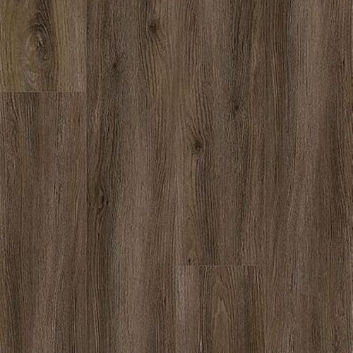 Aladdin Commercial Forest Lawn 2.5 Sorrel