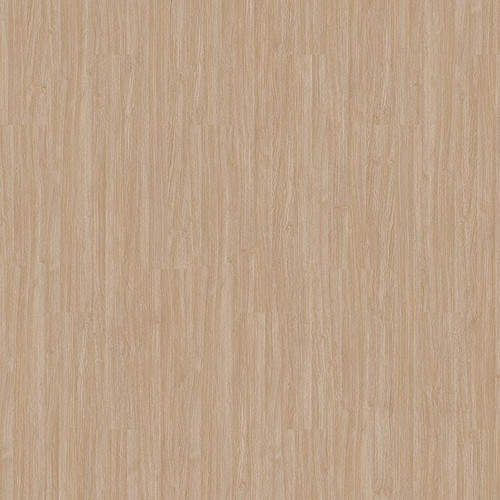 Mohawk Aladdin Familiar Frontier II Plus Plaster