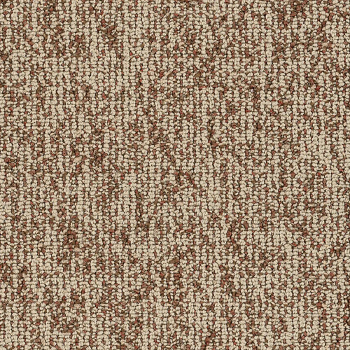 Philadelphia Commercial Basin Mesa Carpet Tile