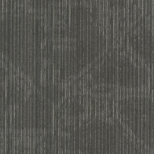 Philadelphia Commercial Encrypt Identity Carpet Tile