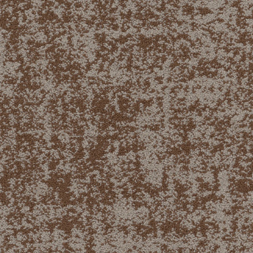 Philadelphia Commercial Intermingle Entwine Carpet Tile