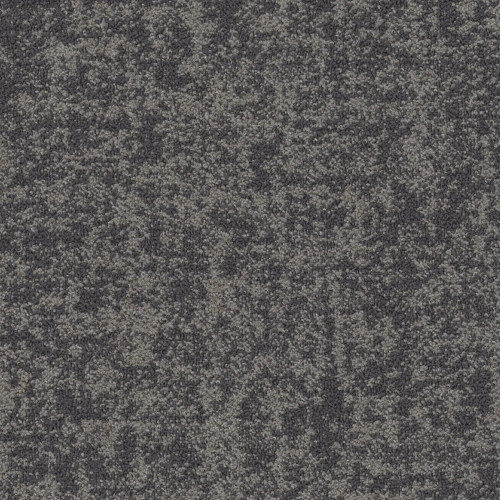 Philadelphia Commercial Intermingle Mod Carpet Tile