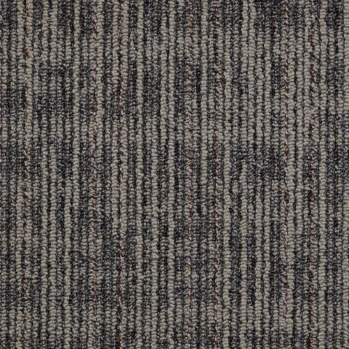 Philadelphia Commercial Mesh Weave Graphic Carpet Tile
