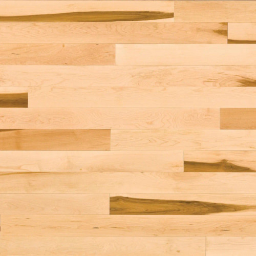Lauzon Essential Natural Maple 4 1/4 inch Solid Hardwood