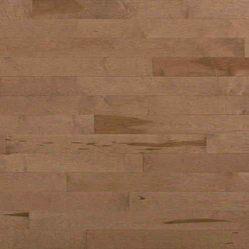 Lauzon Essential Café au lait Maple 4 1/8 inch Engineered Hardwood