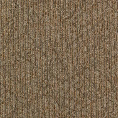 Mohawk Aladdin Brilliantly Amazed Completely Intuitive Carpet Tile