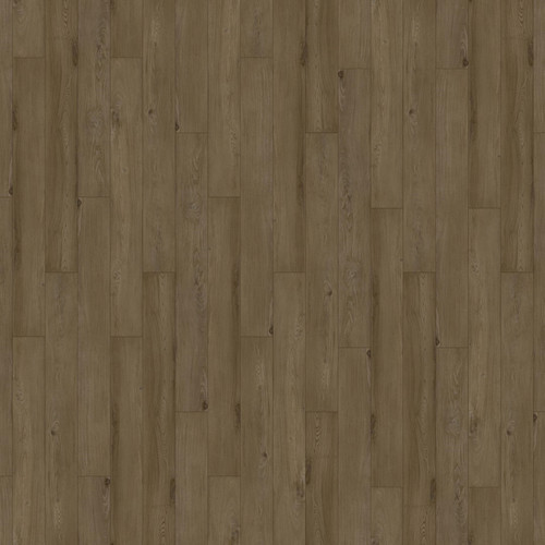 Curio Salem Elm 464D Flooring