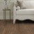 Shaw Endura Plus Modern Classic Vinyl Flooring