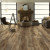 Shaw Pantheon HD Plus Saggio Vinyl Flooring