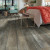 Shaw Pantheon HD Plus Tempesta Vinyl Flooring