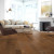 Mercier Design+ Amaretto 5 inch Maple Distinction Engineered Hardwood