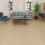 Gemcore Lakeshore Water Proof Flooring Rangely