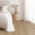 Gemcore Riverfront Water Proof Flooring Amstel
