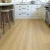 Gemcore Riverfront Water Proof Flooring Hudson