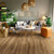 Engineered Floors Cultivate Everglade Vinyl