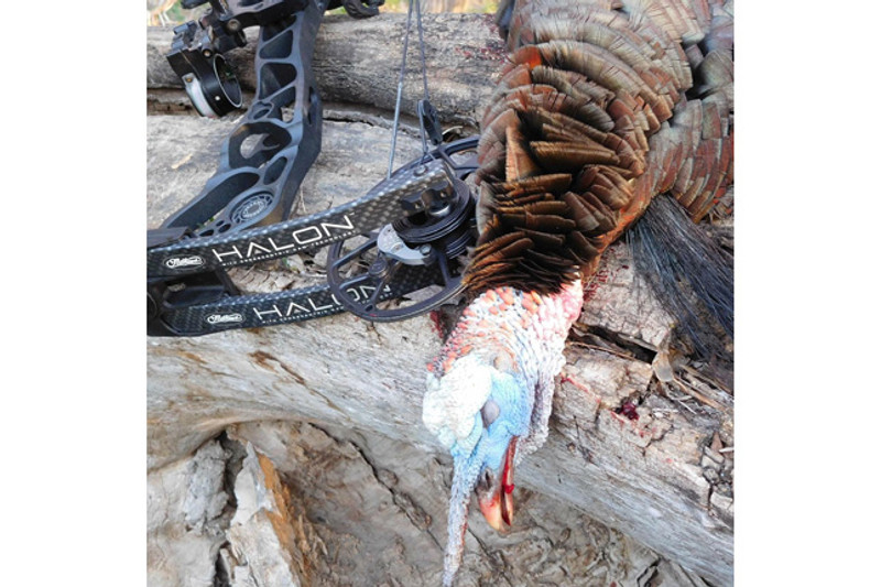 Backcountry Longbeards