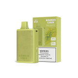 Binaries Cabin Disposable Vape - Green Grape Ice