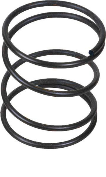 Plunger Return Spring 248-12031