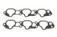Intake Manifold Gasket MI-15-3876 MI13-726