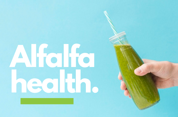 5 Surprising Health Benefits of Alfalfa 5 Surprising Health Benefits of Alfalfa
