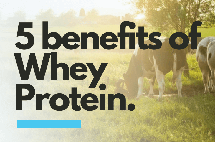 5 Surprising Benefits of Whey Protein