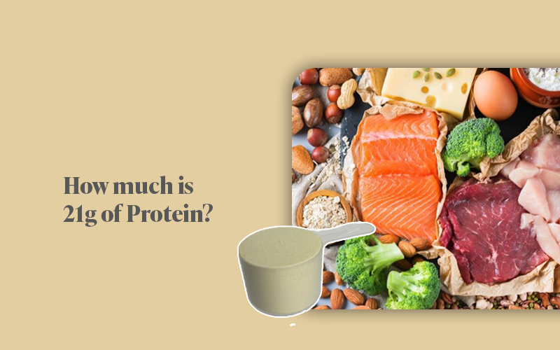 Life Grip How Much Is 21g Of Protein Life Grip life-grip-how-much-is-21g-of-protein-life-grip