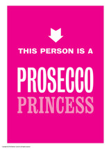 Funny Magnetic Notebook Prosecco Princess By Brainbox Candy
