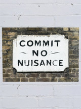 Funny Poster - Commit No Nuisance A3 Print