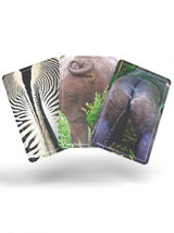 Funny Games - Name That Bumhole Flash Card Game By Bubblegum Stuff