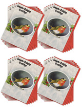 Rude Christmas Card Pack (A6) Robin By Modern Toss