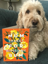 Funny Mother's Day Card Mum Wipe Bum By Brainbox Candy