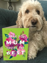 Funny Mother's Day Card Thank You Mum