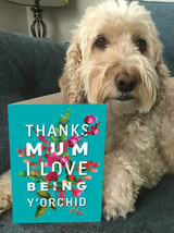 Funny Mother's Day Card Y'Orchid