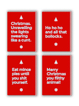 Rude Pack of 24 Frosted Christmas Cards