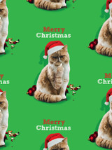 Rude Gift Wrap - Merry Christmas Cat Finger Wrapping Paper