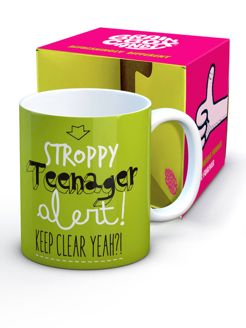 Funny Boxed Mug Stroppy Teenager