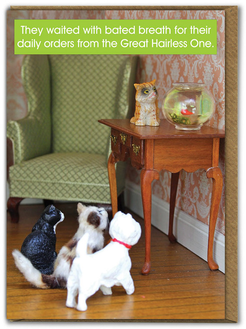 Funny Birthday Card Great Hairless One By Teeny Tiny People