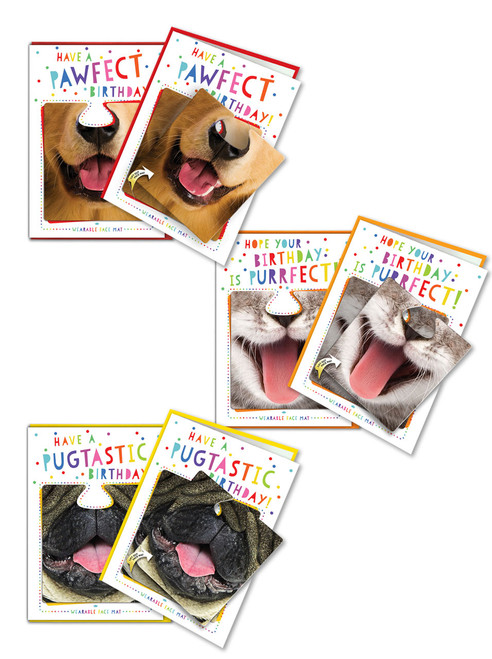 Funny Pack Of 6 Mixed Animal Birthday Cards (Each With Wearable Face Mat)