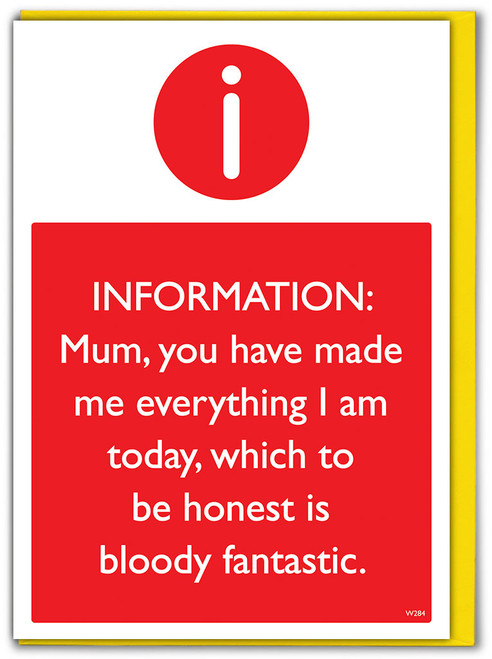 Funny Mother's Day Card Made Me Everything