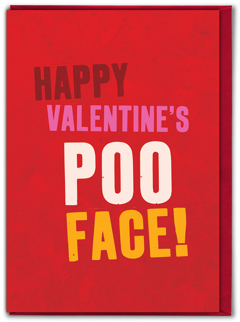 Funny Valentines Card Poo Face!