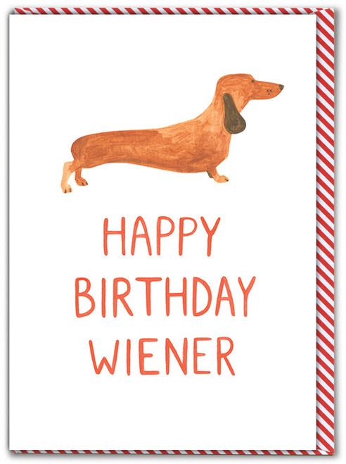 Birthday Wiener Greetings Card By Fran Hooper
