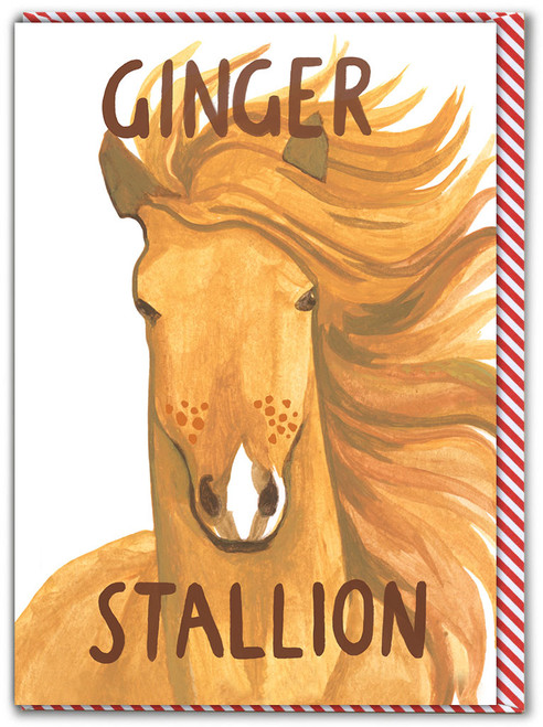 Ginger Stallion Birthday Card By Fran Hooper