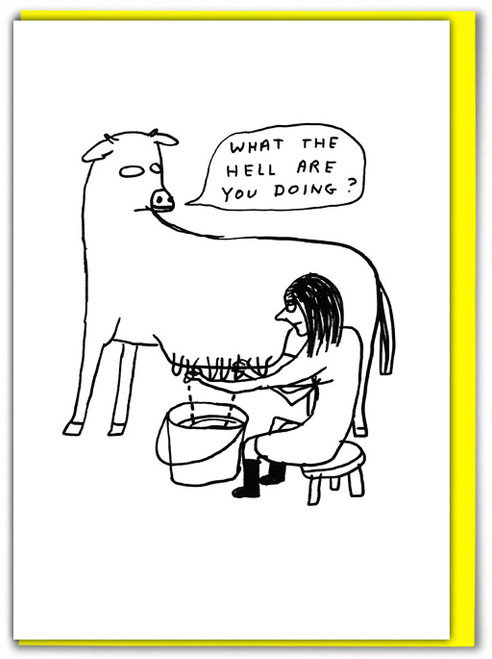 Funny Birthday Card What The Hell By David Shrigley