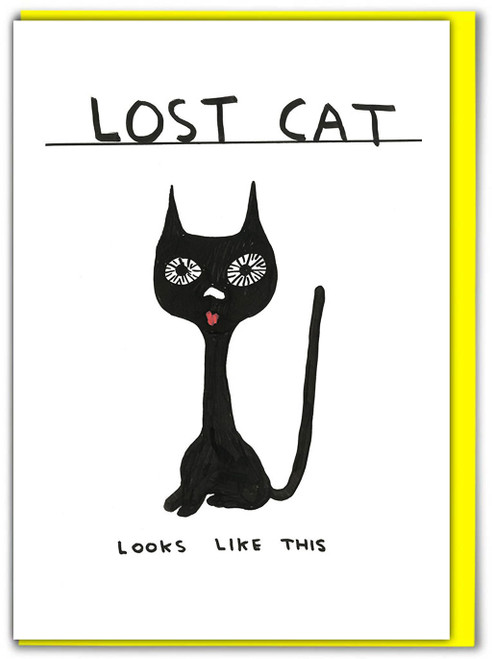 Funny Birthday Card Lost Cat By David Shrigley