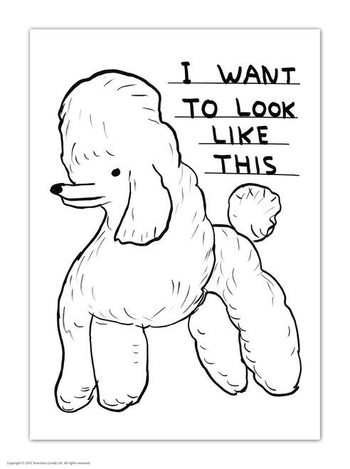 Funny Postcard Look Like This By David Shrigley