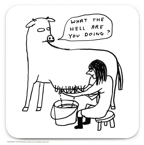 Funny Coaster - What The Hell By David Shrigley
