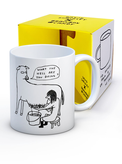 Funny Boxed Mug What The Hell By David Shrigley