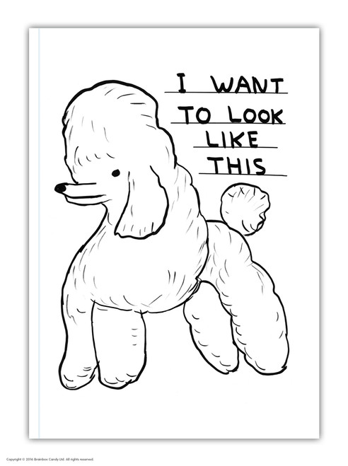 Funny A6 Notebook Want To Look Like This By David Shrigley