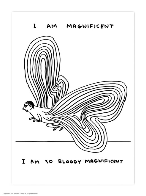 Funny Postcard I Am Magnificent By David Shrigley