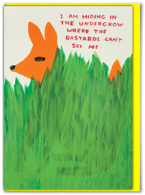 Rude Birthday Card Bastards Can't See Me By David Shrigley